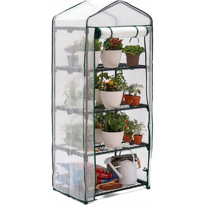 Bramble - 4 Tier Mini - Stalowa rama - Szklarnia Bramble - 4 Tier Mini - Stalowa rama - Szklarnia