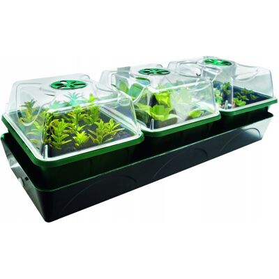Inny producent Szklarnia/pojemnik do uprawy roślin na parapet BioGreen 21x18x54 cm Inny producent Szklarnia/pojemnik do uprawy roślin na parapet BioGreen 21x18x54 cm