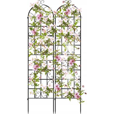 COSTWAY Zestaw Pergola ogrodowa Trejaż do roślin pnących 220 x 50 cm 2 szt COSTWAY Zestaw Pergola ogrodowa Trejaż do roślin pnących 220 x 50 cm 2 szt