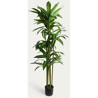 HOMLA Roślina sztuczna GREENORA dracena 160 cm HOMLA Roślina sztuczna GREENORA dracena 160 cm