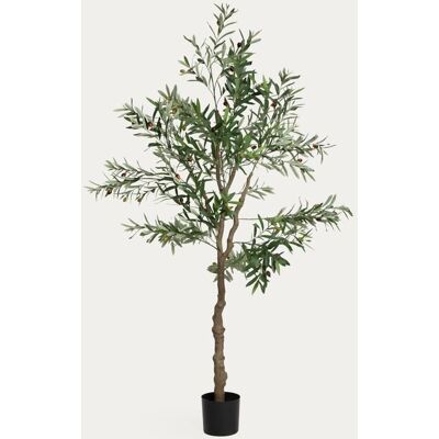 HOMLA Roślina sztuczna GREENORA drzewko oliwne 180 cm HOMLA Roślina sztuczna GREENORA drzewko oliwne 180 cm