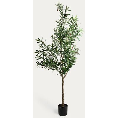 HOMLA Roślina sztuczna VIRIDIS drzewko oliwne 15x140 cm HOMLA Roślina sztuczna VIRIDIS drzewko oliwne 15x140 cm