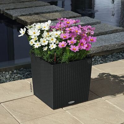 LECHUZA Doniczka CUBE Cottage 40 ALL-IN-ONE, kolor granitu LECHUZA Doniczka CUBE Cottage 40 ALL-IN-ONE, kolor granitu