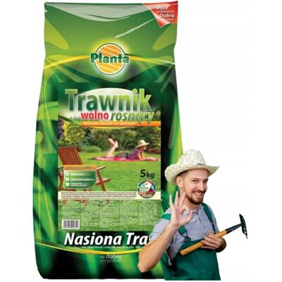 Planta Mieszanka Traw Gazonowych 5kg Wolnorosnący Trawnik Planta Mieszanka Traw Gazonowych 5kg Wolnorosnący Trawnik