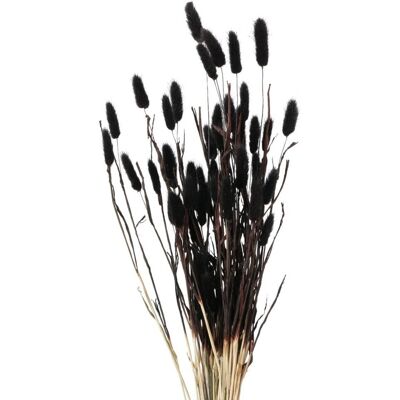 Boltze Ozdobne gałązki do wazonu, suszone, 70 cm Boltze Ozdobne gałązki do wazonu, suszone, 70 cm