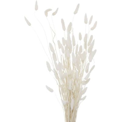 Boltze Ozdobne gałązki do wazonu, suszone, 70 cm Boltze Ozdobne gałązki do wazonu, suszone, 70 cm