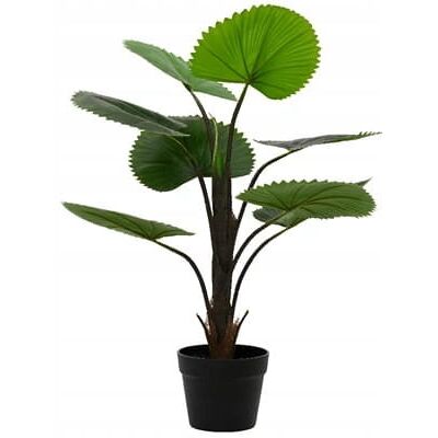Kaemingk Sztuczna roślina palma w doniczce ozdobna 75 cm Kaemingk Sztuczna roślina palma w doniczce ozdobna 75 cm