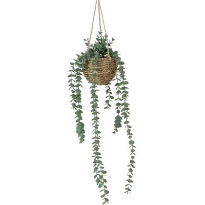 Boltze Sztuczna roślina wisząca EUCALYPTUS, 78 cm Boltze Sztuczna roślina wisząca EUCALYPTUS, 78 cm