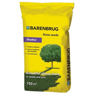 Trawa Barenbrug Piękna i Gęsta Rekreacyjna na tereny zacienione Shadow 15KG Trawa Barenbrug Piękna i Gęsta Rekreacyjna na tereny zacienione Shadow 15KG