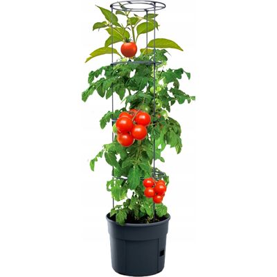 PROSPERPLAST Doniczka do uprawy pomidorów zestaw Tomato Grower DONICA antracyt PROSPERPLAST Doniczka do uprawy pomidorów zestaw Tomato Grower DONICA antracyt