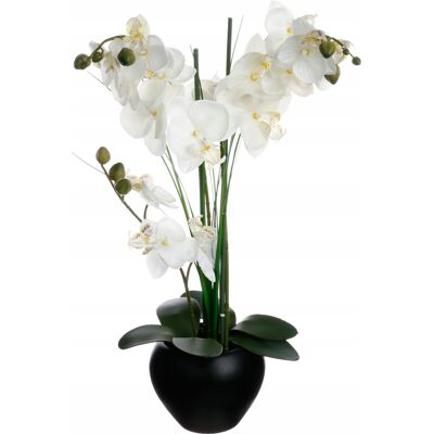 Atmosphera STORCZYK SZTUCZNA ORCHIDEA DUŻE BIAŁE KWIATY DEKORACYJNE 28X50 CM Atmosphera STORCZYK SZTUCZNA ORCHIDEA DUŻE BIAŁE KWIATY DEKORACYJNE 28X50 CM