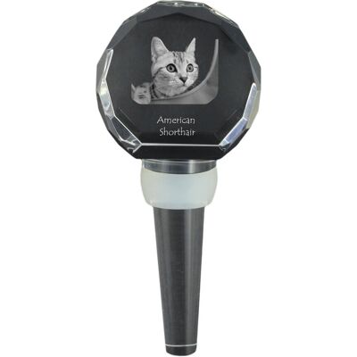 ART Amerykański krótkowłosy - kryształowa zatyczka do butelki z kotem, wyjątkowy korek do wina ze zdjęciem, personalizowany prezent dla sommeliera marki.. ART Amerykański krótkowłosy - kryształowa zatyczka do butelki z kotem, wyjątkowy korek do wina ze zdjęciem, personalizowany prezent dla sommeliera marki..
