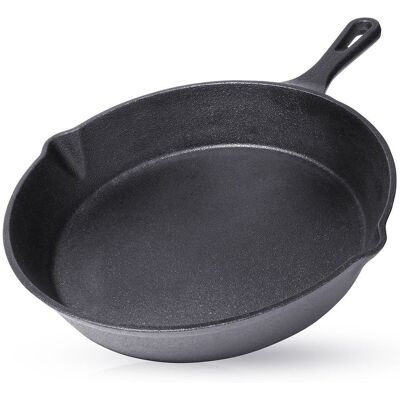 Artemis Patelnia Żeliwna na Gaz Indukcję Grill Ognisko do Piekarnika Talerz 25 cm Artemis Patelnia Żeliwna na Gaz Indukcję Grill Ognisko do Piekarnika Talerz 25 cm
