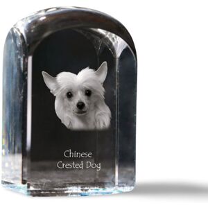 Grzywacz Chiński - kryształowa kostka ze zdjęciem, zdjęcie psa w krysztale, sześcienny przycisk do papieru marki Art-Dog Grzywacz Chiński - kryształowa kostka ze zdjęciem, zdjęcie psa w krysztale, sześcienny przycisk do papieru marki Art-Dog