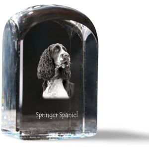 Springer spaniel angielski - kryształowa kostka ze zdjęciem, zdjęcie psa w krysztale, sześcienny przycisk do papieru marki Art-Dog Springer spaniel angielski - kryształowa kostka ze zdjęciem, zdjęcie psa w krysztale, sześcienny przycisk do papieru marki Art-Dog