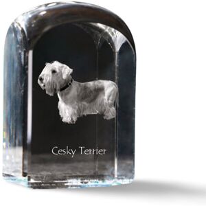Terier czeski, Cesky Terrier - kryształowa kostka ze zdjęciem, zdjęcie psa w krysztale, sześcienny przycisk do papieru marki Art-Dog Terier czeski, Cesky Terrier - kryształowa kostka ze zdjęciem, zdjęcie psa w krysztale, sześcienny przycisk do papieru marki Art-Dog