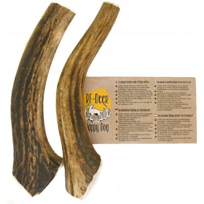 RF-Deer 2 x L Hard jeleń / 71-120g / 14-16cm Gryzak z poroża roga rogów róg dla psa RF-Deer 2 x L Hard jeleń / 71-120g / 14-16cm Gryzak z poroża roga rogów róg dla psa