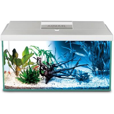Zestaw akwarystyczny AQUAEL Leddy 40 - LED Dzień & Noc - 41x25x25 cm Zestaw akwarystyczny AQUAEL Leddy 40 - LED Dzień & Noc - 41x25x25 cm