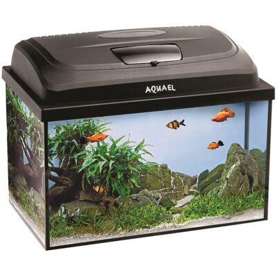 AQUAEL, Zestaw Akwariowy Aqua4Kids 40/P D&N,; 124270 AQUAEL, Zestaw Akwariowy Aqua4Kids 40/P D&N,; 124270