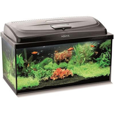 AQUAEL, Zestaw Akwariowy Classic Box 60/P D&N,; 124276 AQUAEL, Zestaw Akwariowy Classic Box 60/P D&N,; 124276