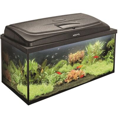 AQUAEL, Zestaw Akwariowy Classic Box 80/P D&N,; 124279 AQUAEL, Zestaw Akwariowy Classic Box 80/P D&N,; 124279