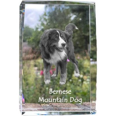ART Berneński pies pasterski, Bernese Mountain Dog - kryształ ze zdjęciem psa, ART Berneński pies pasterski, Bernese Mountain Dog - kryształ ze zdjęciem psa,