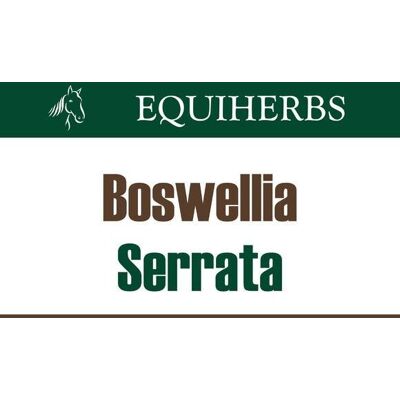 Boswellia serrata EQUIHERBS proszek 500g Boswellia serrata EQUIHERBS proszek 500g