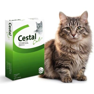 CEVA SANTE ANIMALE Ceva Cestal Cat 8 szt. tabletki na odrobaczanie dla kota od 6 tygodnia CEVA SANTE ANIMALE Ceva Cestal Cat 8 szt. tabletki na odrobaczanie dla kota od 6 tygodnia