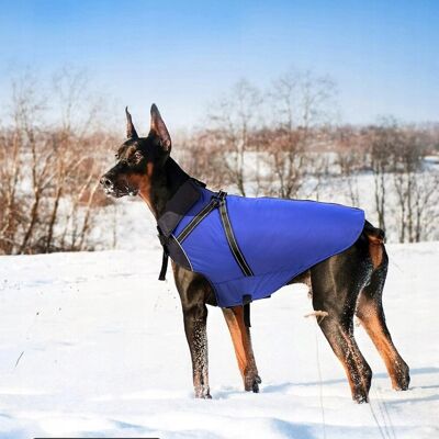 brak danych Ciepła kurtka zimowa dla psa Buddypuppy – wodoodporna z szelkami Rozmiar L brak danych Ciepła kurtka zimowa dla psa Buddypuppy – wodoodporna z szelkami Rozmiar L