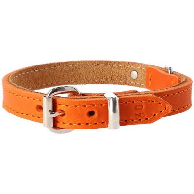 Dingo Obroża Skórzana Soft 1,6/40cm Pomarańczowy Dingo Obroża Skórzana Soft 1,6/40cm Pomarańczowy