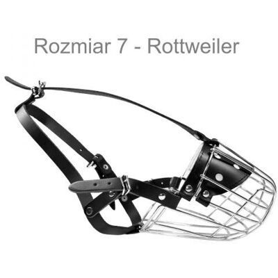 Dino Kaganiec Metalowy Rozmiar 7 Rottweiller Dino Kaganiec Metalowy Rozmiar 7 Rottweiller