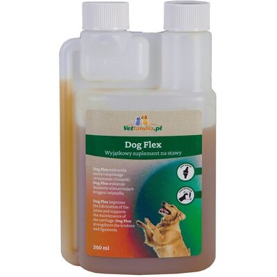 Holland Animal Care Dog Flex 250 ml – suplement na stawy dla psa, glukozamina, MSM, kolagen Holland Animal Care Dog Flex 250 ml – suplement na stawy dla psa, glukozamina, MSM, kolagen