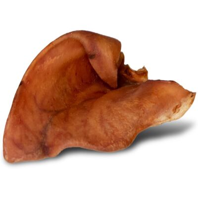 Inny producent Dogario Bonni Pig'S Ear L - Duże Wieprzowe Ucho Gryzak Dla Psa X10 Inny producent Dogario Bonni Pig'S Ear L - Duże Wieprzowe Ucho Gryzak Dla Psa X10
