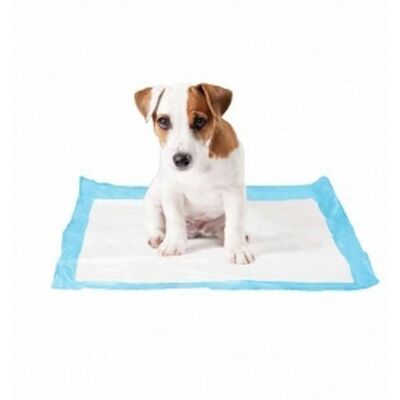 Duvo Plus Podkłady treningowe - Szczenięta i Dorośli Psy - 45x60cm Duvo Plus Podkłady treningowe - Szczenięta i Dorośli Psy - 45x60cm