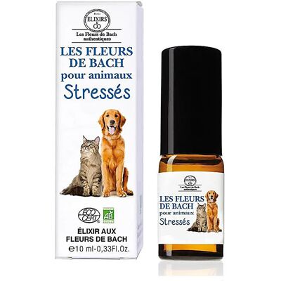 Elixirs & Co Kwiaty Bach dla Zestresowanych Zwierząt - Spray Uspokajający Elixirs & Co Kwiaty Bach dla Zestresowanych Zwierząt - Spray Uspokajający