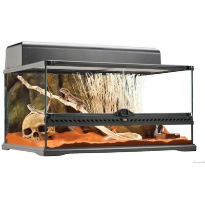 Exo Terra Terrarium Szklane 60x45x30cm + Tło Strukturalne Pt2604 Exo Terra Terrarium Szklane 60x45x30cm + Tło Strukturalne Pt2604