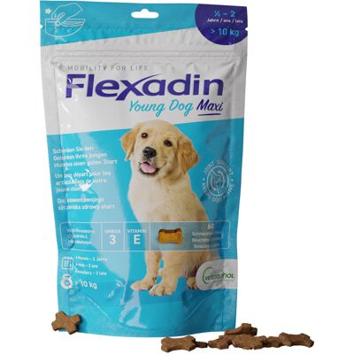 VETOQUINOL Flexadin Young Dog Maxi Kąski Na Stawy 60 Sztuk VETOQUINOL Flexadin Young Dog Maxi Kąski Na Stawy 60 Sztuk