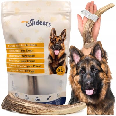 Gryzak z poroża jelenia szlachetnego dla dużego psa PREMIUM wersja HARD Rozmiar XL (120-200 g, 19-21 cm) / Wildeers Gryzak z poroża jelenia szlachetnego dla dużego psa PREMIUM wersja HARD Rozmiar XL (120-200 g, 19-21 cm) / Wildeers