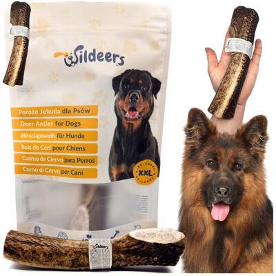 Gryzak z poroża jelenia szlachetnego dla dużego psa PREMIUM wersja HARD Rozmiar XXL (200-260 g, 19-21 cm) / Wildeers Gryzak z poroża jelenia szlachetnego dla dużego psa PREMIUM wersja HARD Rozmiar XXL (200-260 g, 19-21 cm) / Wildeers