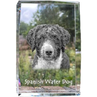 Hiszpański pies wodny - kryształ ze zdjęciem psa, zdjęcie w szkle, nowoczesna ekspozycja zdjęcia marki Art-Dog Hiszpański pies wodny - kryształ ze zdjęciem psa, zdjęcie w szkle, nowoczesna ekspozycja zdjęcia marki Art-Dog