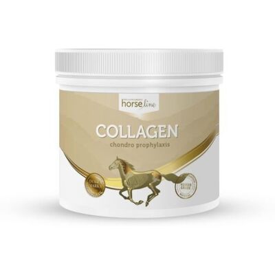 Alpha HorseLinePro Collagen 300g kolagen dla konia Alpha HorseLinePro Collagen 300g kolagen dla konia