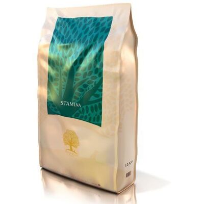 Essential Foods Stamina Mały Rozmiar 2,5 kg - Karma dla psa Essential Foods Stamina Mały Rozmiar 2,5 kg - Karma dla psa