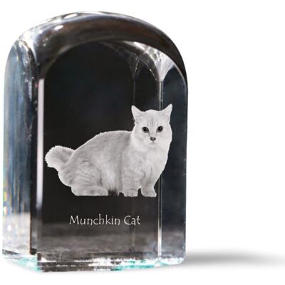 Kot Munchkin - kryształowa kostka ze zdjęciem, zdjęcie kota w krysztale, sześcienny przycisk do papieru marki Art-Dog Kot Munchkin - kryształowa kostka ze zdjęciem, zdjęcie kota w krysztale, sześcienny przycisk do papieru marki Art-Dog