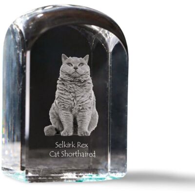 Kot Selkirk Rex krótkowłosy - kryształowa kostka ze zdjęciem, zdjęcie kota w krysztale, sześcienny przycisk do papieru marki Art-Dog Kot Selkirk Rex krótkowłosy - kryształowa kostka ze zdjęciem, zdjęcie kota w krysztale, sześcienny przycisk do papieru marki Art-Dog