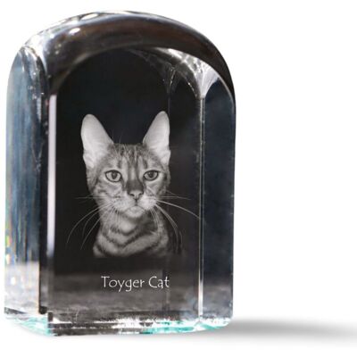 Kot toyger - kryształowa kostka ze zdjęciem, zdjęcie kota w krysztale, sześcienny przycisk do papieru marki Art-Dog Kot toyger - kryształowa kostka ze zdjęciem, zdjęcie kota w krysztale, sześcienny przycisk do papieru marki Art-Dog