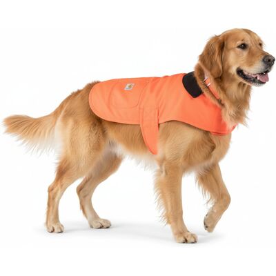 Kurtka dla psa Carhartt Chore coat Pomarańczowa S neonowa Kurtka dla psa Carhartt Chore coat Pomarańczowa S neonowa