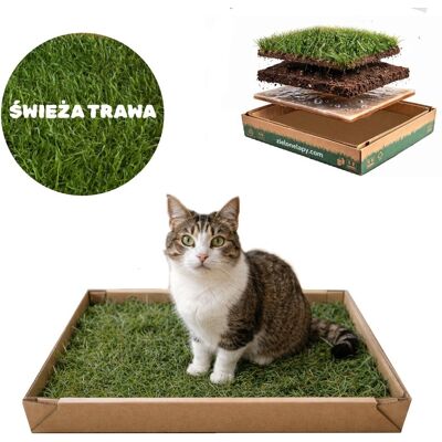 Inny producent Kuweta dla kota z naturalnej trawy 50x25 cm toaleta ekologiczna Inny producent Kuweta dla kota z naturalnej trawy 50x25 cm toaleta ekologiczna