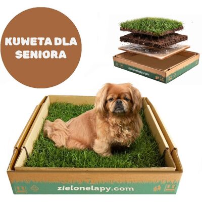 Inny producent Legowisko/ Kuweta dla starszego psa prawdziwa trawa 50×50cm Inny producent Legowisko/ Kuweta dla starszego psa prawdziwa trawa 50×50cm