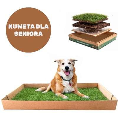 Inny producent Legowisko/ Kuweta dla starszego psa prawdziwa trawa duża 100x50 cm Inny producent Legowisko/ Kuweta dla starszego psa prawdziwa trawa duża 100x50 cm