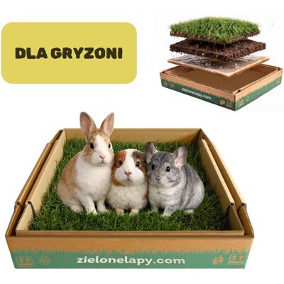 Inny producent Mata/ Legowisko dla gryzoni z prawdziwą trawą 50x50cm królik świnka morska Inny producent Mata/ Legowisko dla gryzoni z prawdziwą trawą 50x50cm królik świnka morska